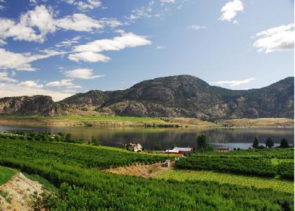 Ciliegia Villa Osoyoos Exteriör bild